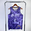 Camisa Regata NBA Lakers Nike James N°6 - Roxa