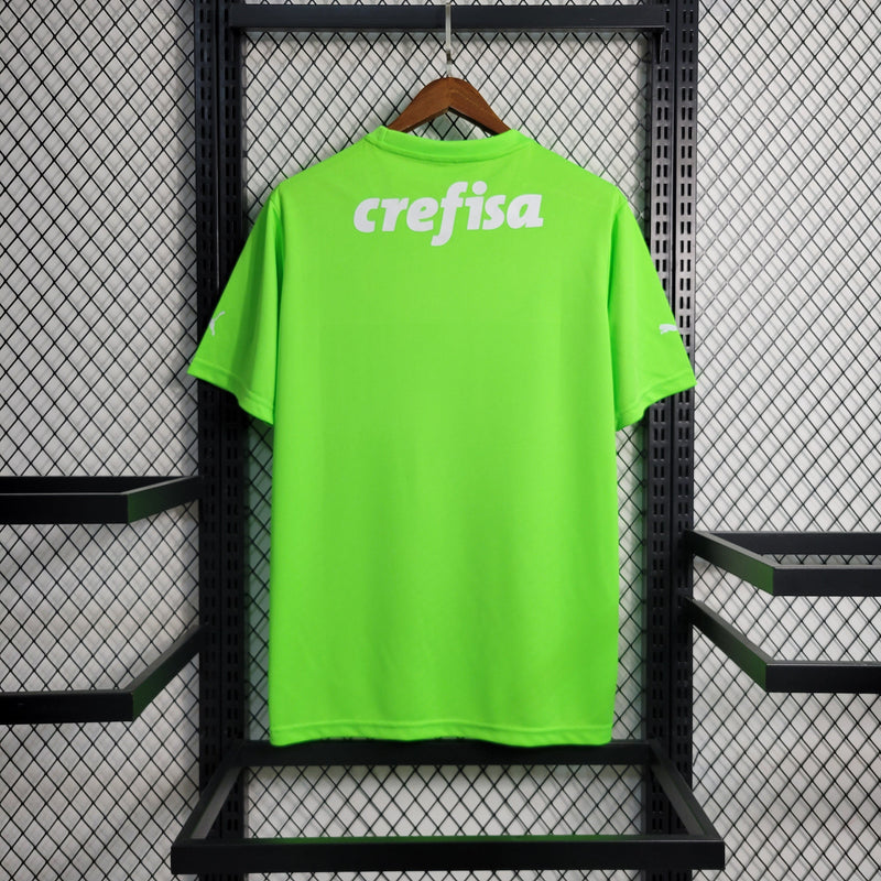 Camisa Palmeiras Goleiro 2023/24 - Puma Torcedor Masculina - Verde