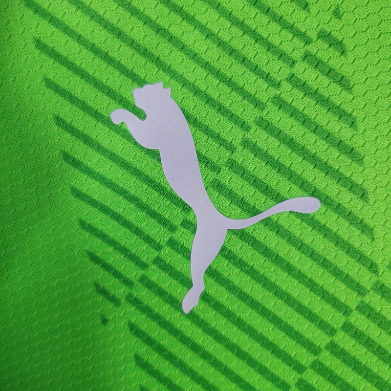 Camisa Palmeiras Goleiro 2023/24 - Puma Torcedor Masculina - Verde