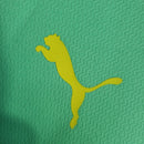 Camisa Palmeiras 2023/24 - Puma Torcedor Masculina - Verde/Amarela