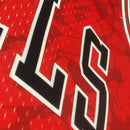 Camisa Regata NBA Chicago Bulls x Bape N°93 - Vermelha/Preta
