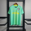 Camisa Palmeiras 2023/24 - Puma Torcedor Masculina - Verde/Amarela