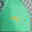 Camisa Palmeiras 2023/24 - Puma Torcedor Masculina - Verde/Amarela