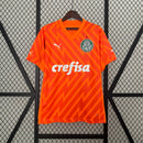 Camisa Palmeiras Goleiro 2024/25 - Puma Torcedor Masculina - Laranja