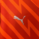 Camisa Palmeiras Goleiro 2024/25 - Puma Torcedor Masculina - Laranja