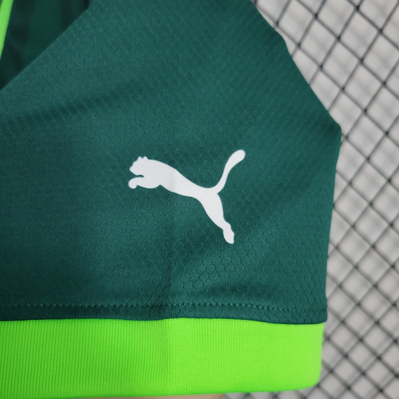 Camisa Palmeiras Home 2023/24 - Puma Torcedor Masculina - Verde