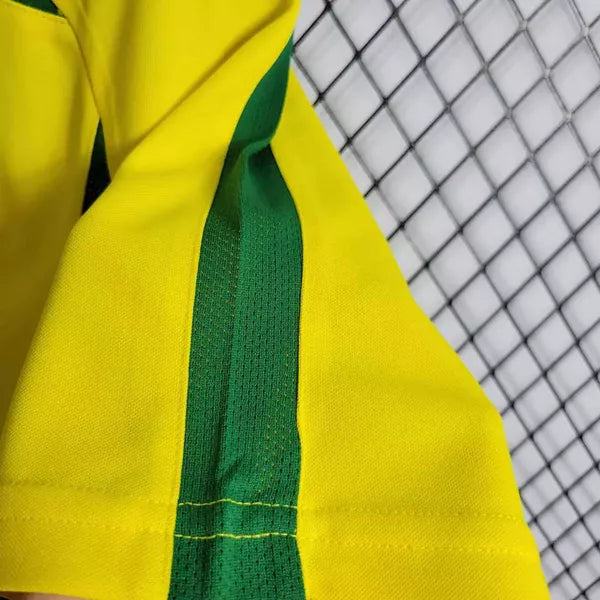 Camisa Pronta Entrega Seleção Brasil Home 2002 - Nike Retrô Masculina - Amarela/Verde + RONALDO N°9 + Frete Grátis
